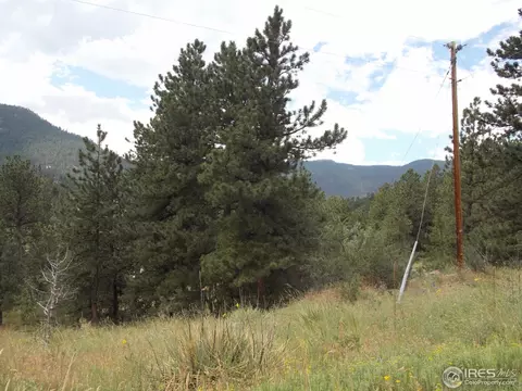 322 Cree Ct, Lyons, CO 80540 photo 21