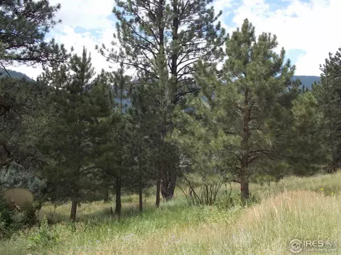 322 Cree Ct, Lyons, CO 80540 photo 2