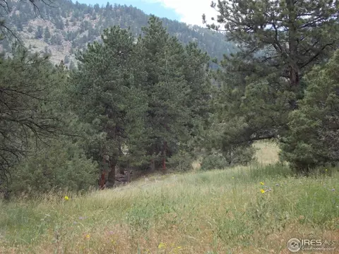 322 Cree Ct, Lyons, CO 80540 photo 9