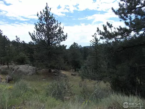 322 Cree Ct, Lyons, CO 80540 photo 23