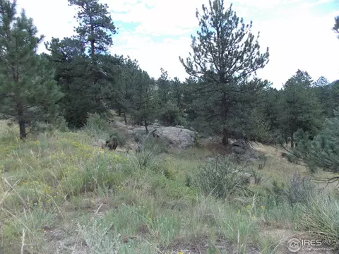 322 Cree Ct, Lyons, CO 80540 photo 24