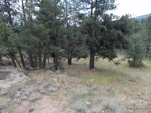 322 Cree Ct, Lyons, CO 80540 photo 6