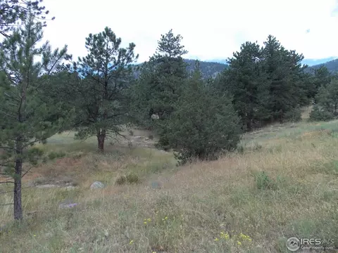 322 Cree Ct, Lyons, CO 80540 photo 7