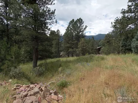 322 Cree Ct, Lyons, CO 80540 photo 17
