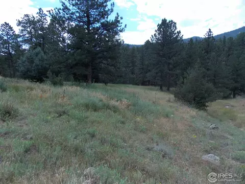 322 Cree Ct, Lyons, CO 80540 photo 15