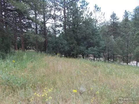 322 Cree Ct, Lyons, CO 80540 photo 5