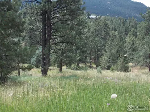 322 Cree Ct, Lyons, CO 80540 photo 19