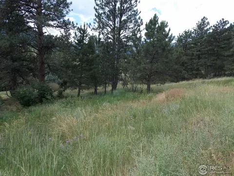 322 Cree Ct, Lyons, CO 80540 photo 18