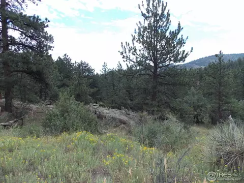 322 Cree Ct, Lyons, CO 80540 photo 4