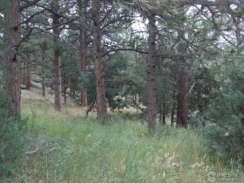 322 Cree Ct, Lyons, CO 80540 photo 12