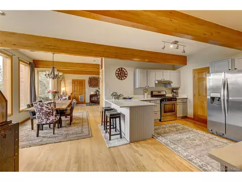 41 Evergreen Rd, Bailey, CO 80421 photo 3