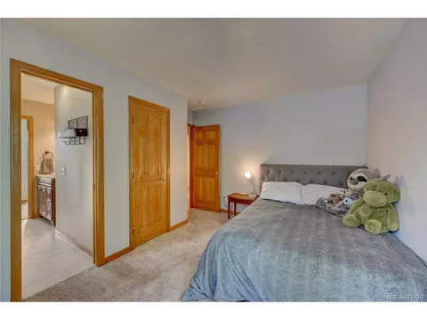 41 Evergreen Rd, Bailey, CO 80421 photo 25