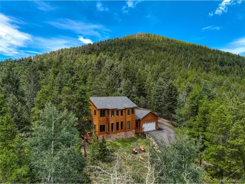 41 Evergreen Rd, Bailey, CO 80421 photo 35