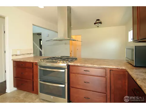 4882 E 131st Pl, Thornton, CO 80241 photo 10