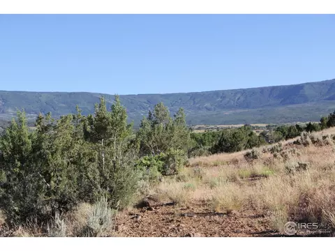 48890 Ke Rd, Mesa, CO 81643 photo 8