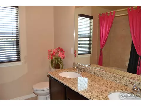 404 Wind River Dr, Windsor, CO 80550 photo 22
