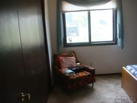 6 Tulip Ct, Windsor, CO 80550 photo 16