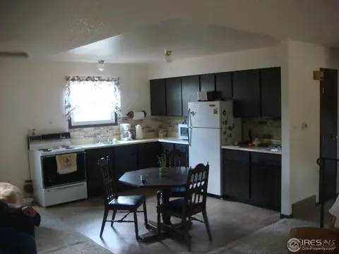 6 Tulip Ct, Windsor, CO 80550 photo 10