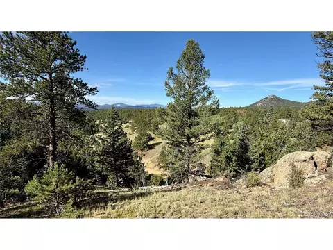 196 Beaver Creek Cir, Florissant, CO 80816