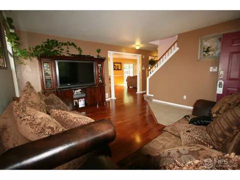 1382 E 96th Pl, Thornton, CO 80229 photo 2