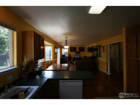 1382 E 96th Pl, Thornton, CO 80229 photo 10