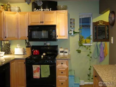 1511 E 84th Pl, Denver, CO 80229 photo 8