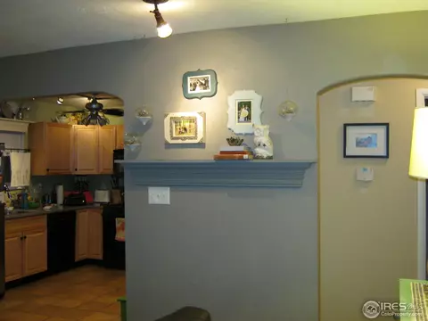 1511 E 84th Pl, Denver, CO 80229 photo 5