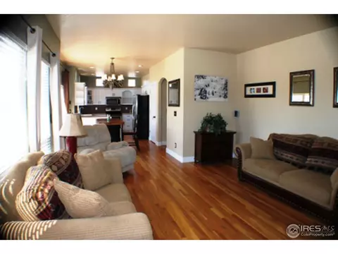1504 Pintail Cv, Windsor, CO 80550 photo 3