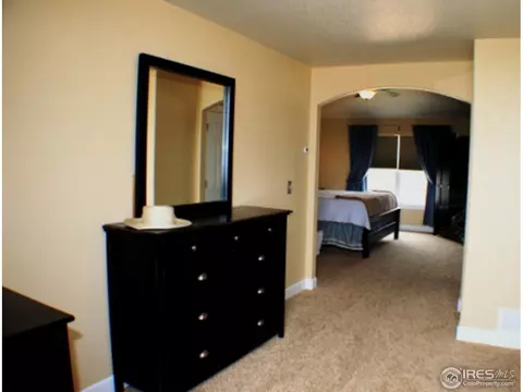 1504 Pintail Cv, Windsor, CO 80550 photo 19