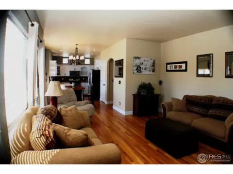 1504 Pintail Cv, Windsor, CO 80550 photo 12