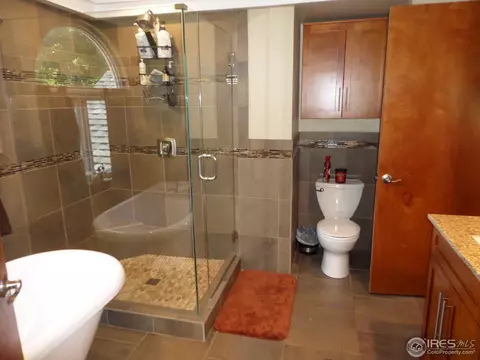 9764 Iris St, Westminster, CO 80021 photo 10