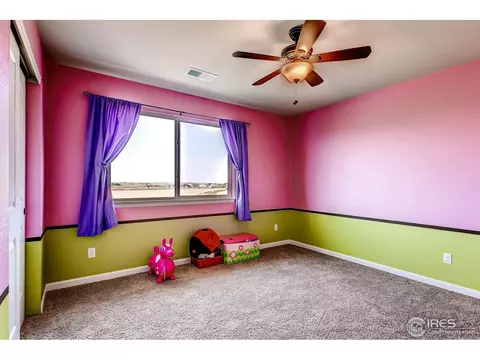 2909 E 152nd Pl, Thornton, CO 80602 photo 15
