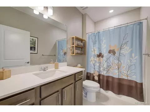 7692 E 158th Pl, Thornton, CO 80602 photo 24
