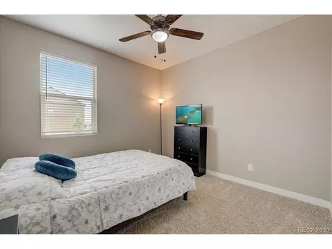 7692 E 158th Pl, Thornton, CO 80602 photo 22