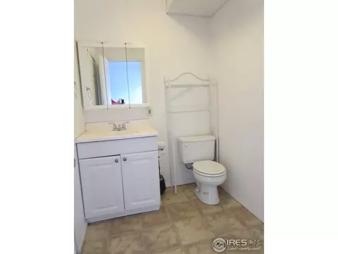 30 Daisy Ct, Windsor, CO 80550 photo 9