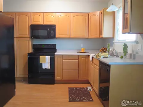 30 Daisy Ct, Windsor, CO 80550 photo 6