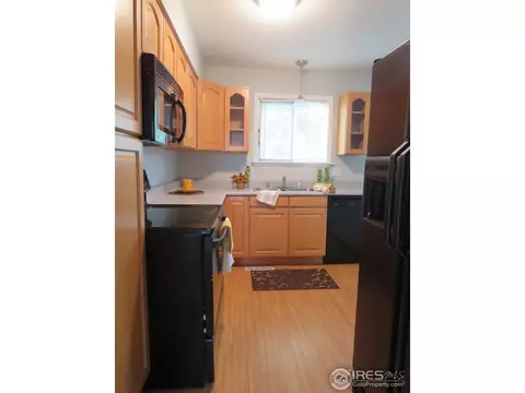 30 Daisy Ct, Windsor, CO 80550 photo 5