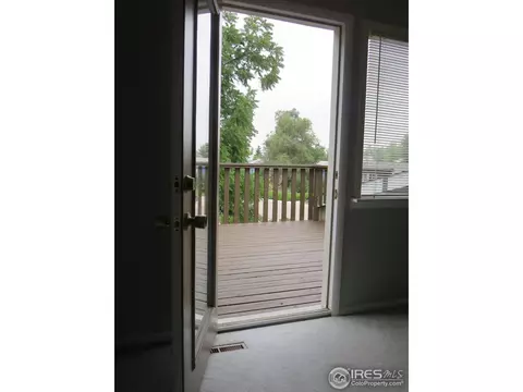 30 Daisy Ct, Windsor, CO 80550 photo 4