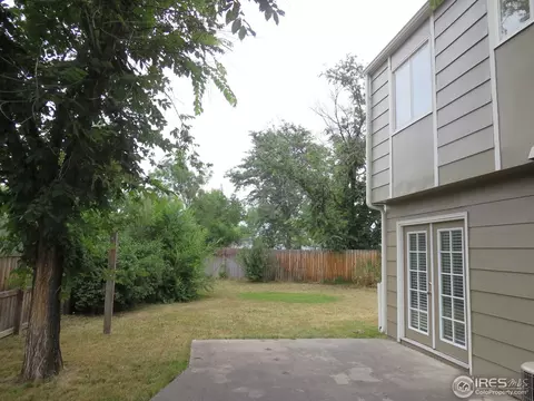 30 Daisy Ct, Windsor, CO 80550 photo 14