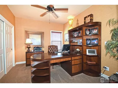 316 Sandy Ln, Windsor, CO 80550 photo 17