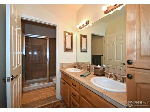 316 Sandy Ln, Windsor, CO 80550 photo 19