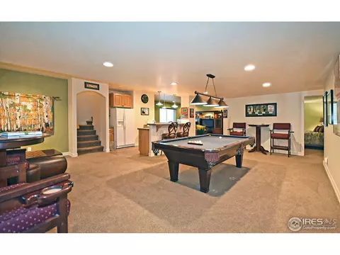 316 Sandy Ln, Windsor, CO 80550 photo 21