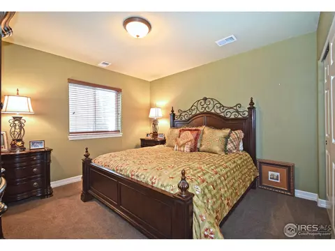 316 Sandy Ln, Windsor, CO 80550 photo 20