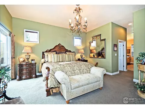 316 Sandy Ln, Windsor, CO 80550 photo 13