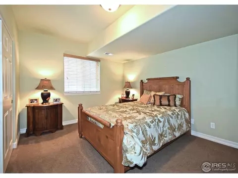 316 Sandy Ln, Windsor, CO 80550 photo 18