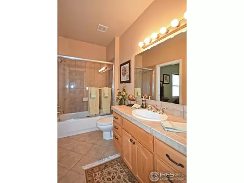 316 Sandy Ln, Windsor, CO 80550 photo 16