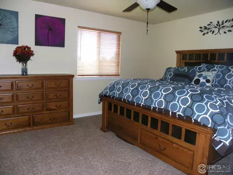 201 E Chestnut St, Windsor, CO 80550 photo 15