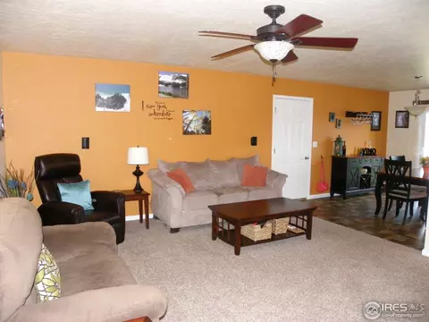 201 E Chestnut St, Windsor, CO 80550 photo 5