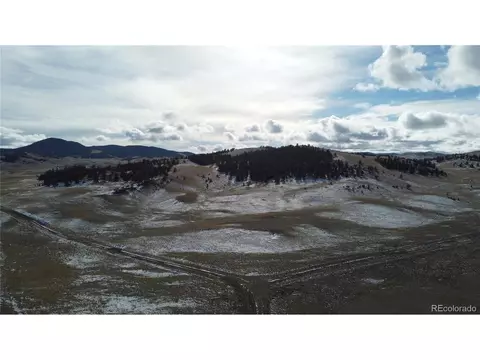 3251 Black Beaver Rd, Hartsel, CO 80449