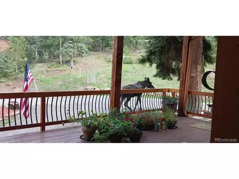 27652 Shadow Mountain Dr, Conifer, CO 80433 photo 41